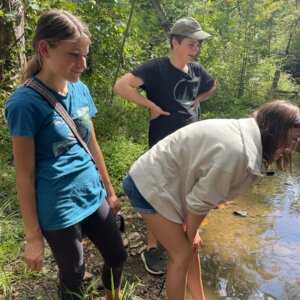 CorvinCreek23 - 4 Corvin Creek 23