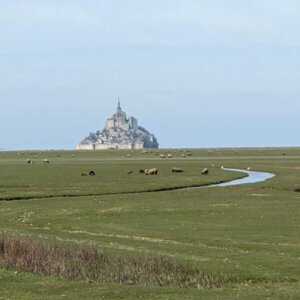 Des michel France 2023 Trip 4:10 -40 Des michel France 2023 Trip 4:10 -40