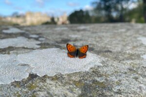 France 2023 Trip 4:7 -14 France 2023 Trip