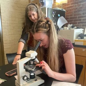 Daphnia Magna - 10 Daphnia Magna