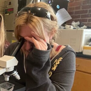 Daphnia Magna - 14 Daphnia Magna