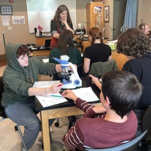 Daphnia Magna - 18 Daphnia Magna