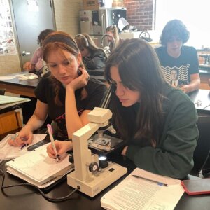 Daphnia Magna - 4 Daphnia Magna