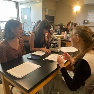 Daphnia Magna - 6 Daphnia Magna