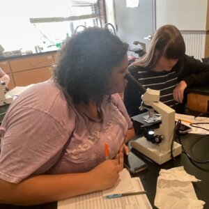 Daphnia Magna - 7 Daphnia Magna