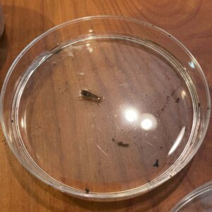 Enviromental Science - 1 Enviromental Science