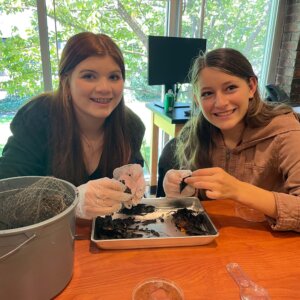 Enviromental Science - 4 Enviromental Science