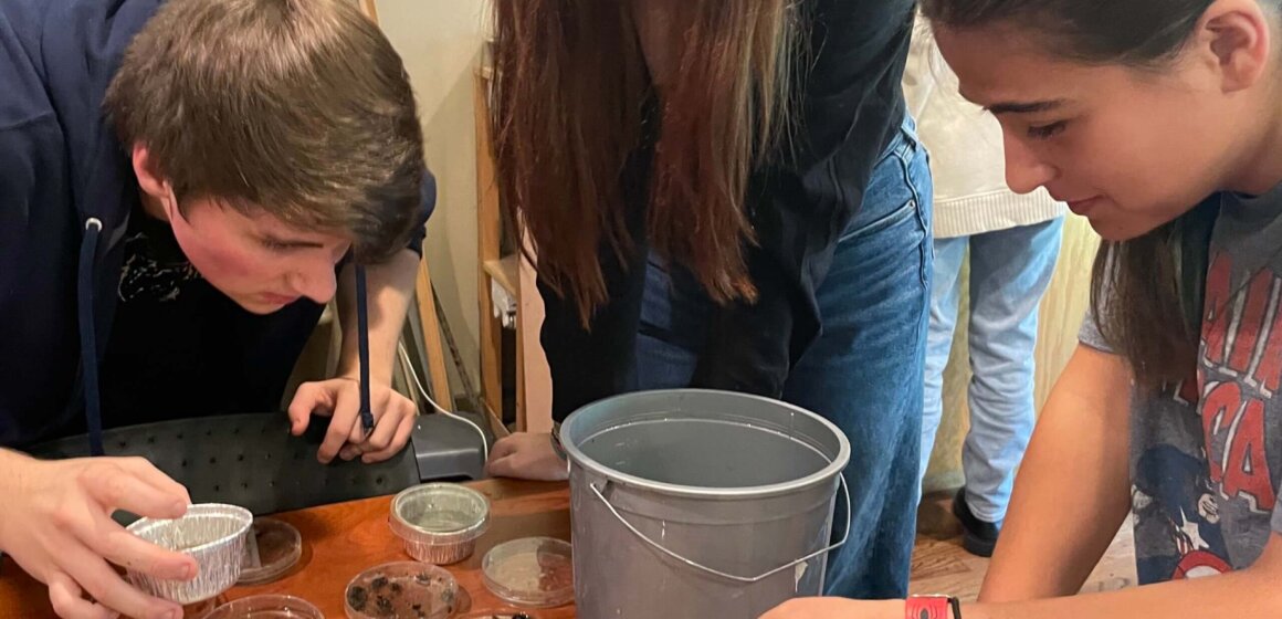 Enviromental Science