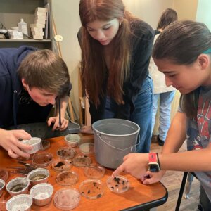 Enviromental Science