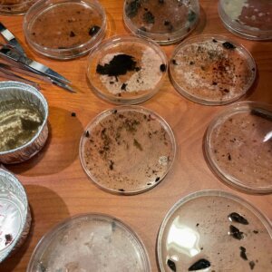 Enviromental Science - 8 Enviromental Science