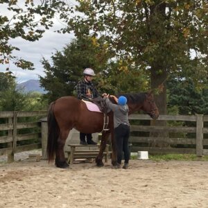 Horseback Riding - 13 Horseback Riding