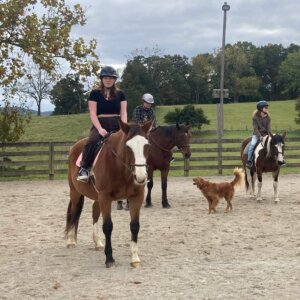 Horseback Riding - 15 Horseback Riding