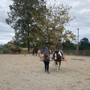 Horseback Riding - 22 Horseback Riding