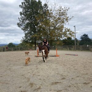 Horseback Riding - 24 Horseback Riding