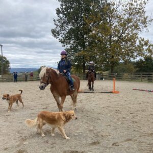 Horseback Riding - 25 Horseback Riding
