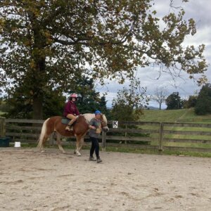 Horseback Riding - 31 Horseback Riding