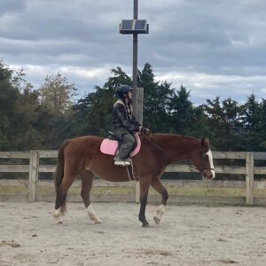 Horseback Riding - 39 Horseback Riding