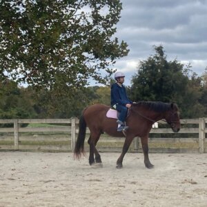 Horseback Riding - 40 Horseback Riding