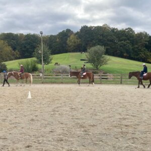 Horseback Riding - 43 Horseback Riding