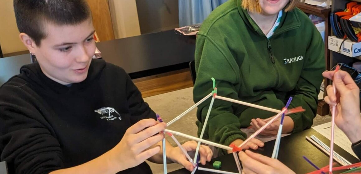 Brain Architecture Game