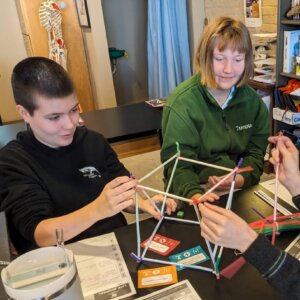 Brain Architecture Game