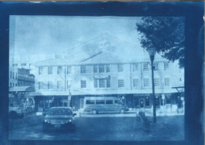 Cyanotypes - 3 Cyanotypes