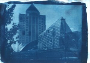 Cyanotypes - 8 Cyanotypes