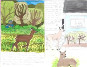 Environmental Sci Projects 2023 - 2 Environmental Sci Projects 2023