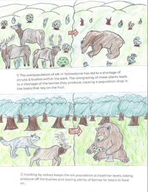 Environmental Sci Projects 2023 - 4 Environmental Sci Projects 2023