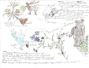 Environmental Sci Projects 2023 - 5 Environmental Sci Projects 2023