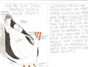 Environmental Sci Projects 2023 - 6 Environmental Sci Projects 2023