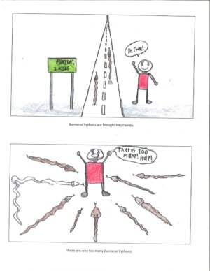 Environmental Sci Projects 2023 - 8 Environmental Sci Projects 2023