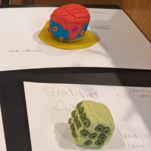 Epithelial tissue - 2 Epithelial tissue made from Playdoh