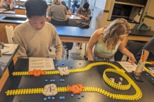 Synapse Model Synapse Model