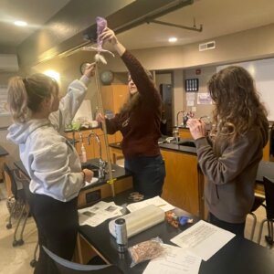 Bungee Jumping Experiment