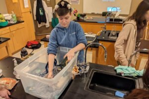 Maddox Feature - 14 Maddox's menagerie of pets