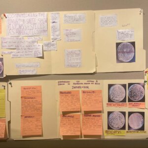 Science posters - 3 Biology Posters