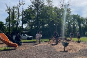 CS Spring 2024 - 3 Community Service Spring 2024