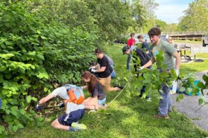 CS Spring 2024 - 44 Community Service Day - 2024