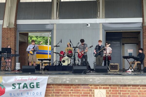 Strawberry Festival 2024 - 5