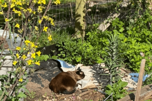 Ollie Hernon - 1 Ollie Herron (‘23)