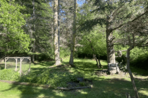 Ollie Hernon - 6 Ollie Herron (‘23)