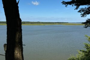 Sam Dutilly - 1 Sam Dutilly '20