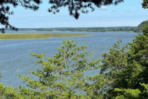 Sam Dutilly - 2 Sam Dutilly '20