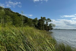 Sam Dutilly - 3 Sam Dutilly '20