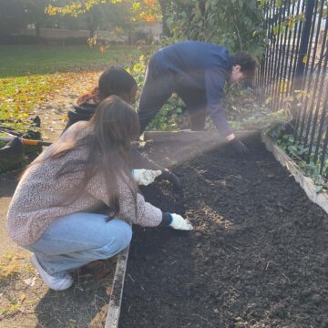 Planting Garlic - 1 Planting Garlic