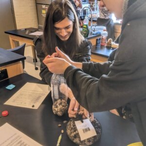 Density Differentiation - 6 Density differentiation lab