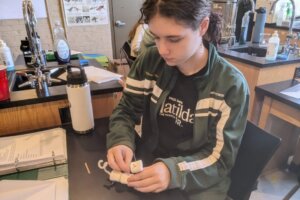 Reebops 2025 - 1 Reebops 2025