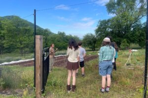 Morningside Urban Farm - 2 Morningside Urban Farm