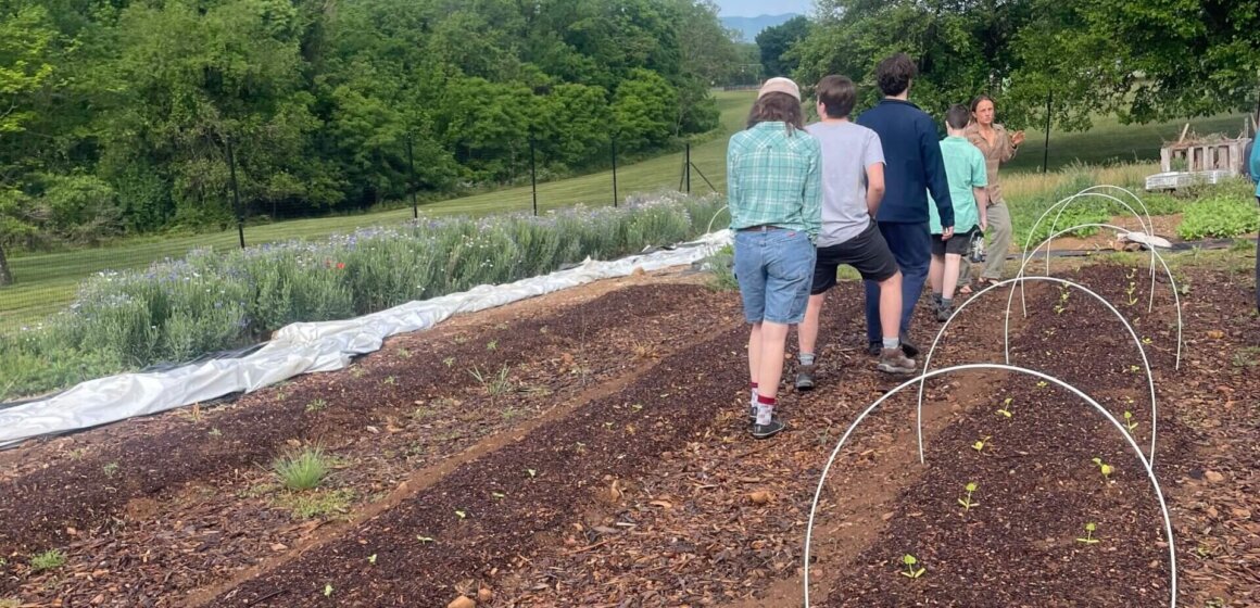 Morningside Urban Farm